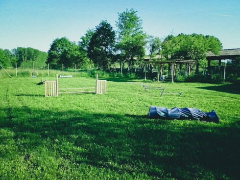 Uno dei campi educazione del Centro