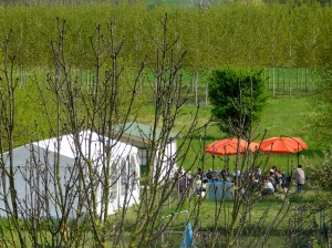 Seminario Emozioni in Movimento: momento di attività all'aperto