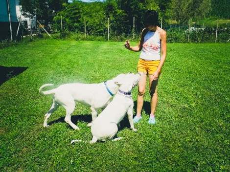 Doc & Niki in pensione al Centro