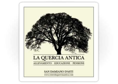 Adesivi rimovibili piccoli