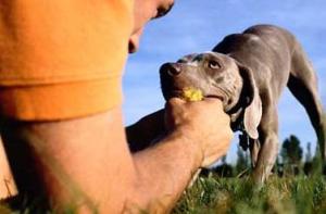 Immagine-Articolo_713