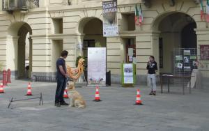 FIERA SAN GIUSEPPE 2014 2