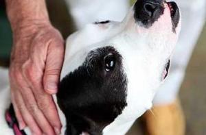 l'infinito in uno sguardo