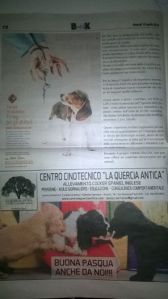 Dentro la Notizia BreaK