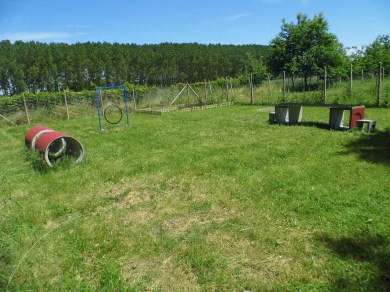 Campo Imparo Giocando