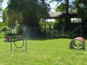 Campo Imparo Giocando2