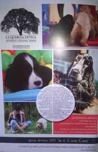 io e il mio cane - guida pratica