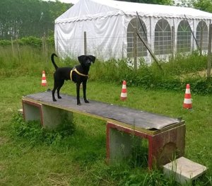 Max in educazione